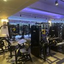 원앤온리피티 이미지