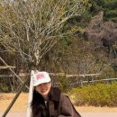 알콩달콩 이미지