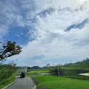 골프랩 | 🌿 [디아크골프랩 필드레슨 후기]