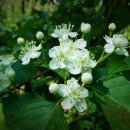 행정사 김동진 사무소 이미지