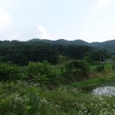 평안산(平安山162m).삼태봉(134m).장군봉(將軍峰128m).매봉(183m).신기산(276m).용구레미봉(173m)/충남공주 이미지