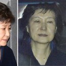 더디어 티스토리
