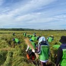 광양 경찰서 이미지