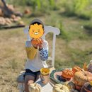 Sweet Eats Adventure Farm 펌킨패치 방문(무료) 이미지