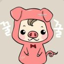 쏠쏘라 네이버블로그
