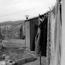 꿈이있는마을 이미지