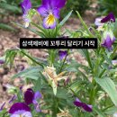 누리달아흐레