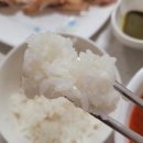 밥먹짜