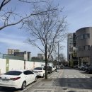 일원로 | 대전 봉명동 네일 설브네일 원컬러네일 솔직후기