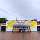 호텔 라벤더 제주 | 제주 동쪽 가볼만한 곳 에코랜드 테마파크 부모님과 방문 후기