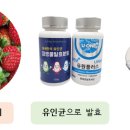 해피드림발효 이미지