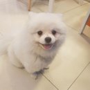 동편마을입구 이미지