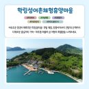 학림섬어촌체험휴양마을 | [해양수산부, 8월 어촌 여행지 &#39;경남 통영 학림섬어촌체험휴양마을&#39;]