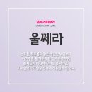 온누리피부과의원 네이버블로그