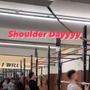 코알라패밀리 이미지