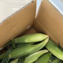 다희농원 이미지