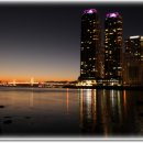 해변의 꿈 이미지