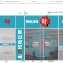 둔산성모약국 네이버블로그