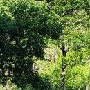 풍산태사로(서) 이미지