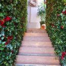 일성능수아파트(3차)2블럭 이미지