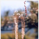 배드민턴장 화장실 이미지