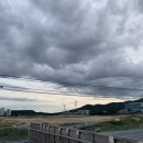 카더가든X오존 콘서트 네이버블로그