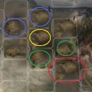 낙양농장 이미지