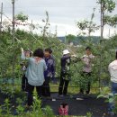 행복농장 2 이미지