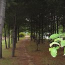 봉황자연휴양림 이미지