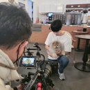 훈이애견 이미지
