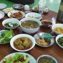 육식 이미지