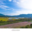 가조온천 이미지