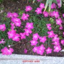 천천농장 이미지