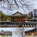 거목빌딩 | 서울 벚꽃명소 4월 꽃구경 덕수궁 벚꽃과 석조전 돈덕전