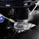 미포인트 의원 이미지