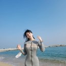 세리박 이미지