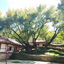 서포리관광지 이미지