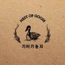 둥지감자탕 이미지