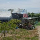 낭만다육이 - 원주시 영랑길 127-17 | 낭만다육이