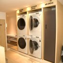 브라운 도트 이미지