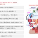 (주)아이비랩 이미지