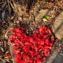 소계동157 이미지