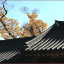 비원 Daum카페