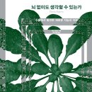 도전 AI 글쓰기와 책 만들기 이미지