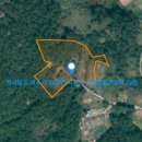 곰솔부동산공인중개사사무소 이미지