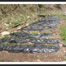 좋은이웃펜션 이미지