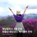 재약산휴게실 | 영남알프스 7봉 천황산 최단코스 케이블카 주차 꿀팁 진달래 군락지 현황