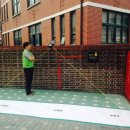 안암초등학교 이미지