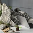 어반플랜트(UrbanPlant)