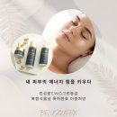 벨루스퀸화장품/화장품효능/스킨사용후기